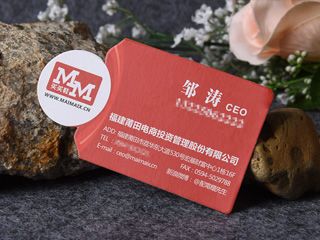 高檔工藝名片（網(wǎng)絡商務）