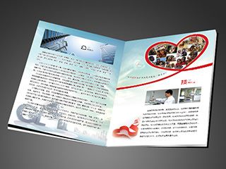 福州平面畫(huà)冊(cè)設(shè)計(jì)